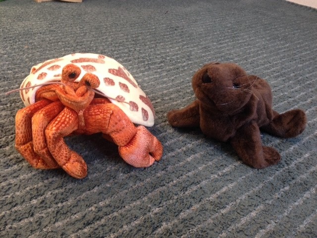A Dialogue on Discovery with Three-year-olds