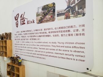 The description of the work 'Risk'