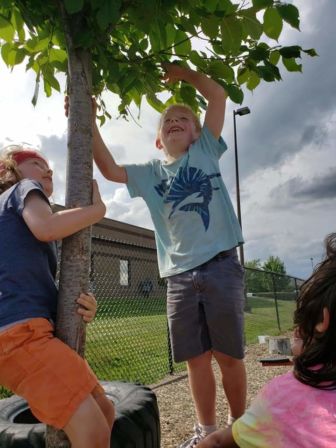 Two children climb a tree