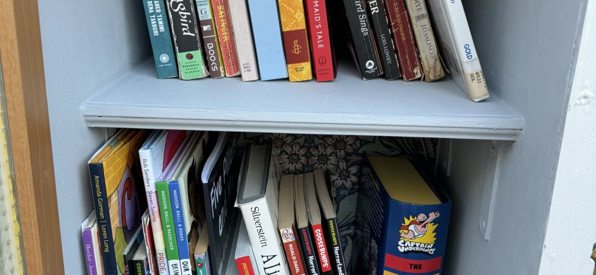 A small wooden shelf filled with various books, including children's books, novels, and history titles. Two round badges and a heart-shaped button are placed on the bottom shelf.