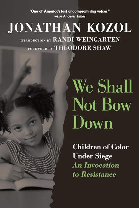 Book cover for 